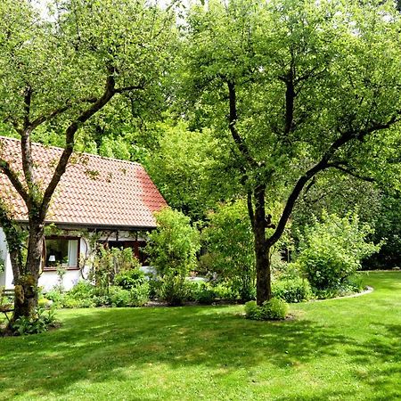 Kleines Haus Villa Ganderkesee Ngoại thất bức ảnh
